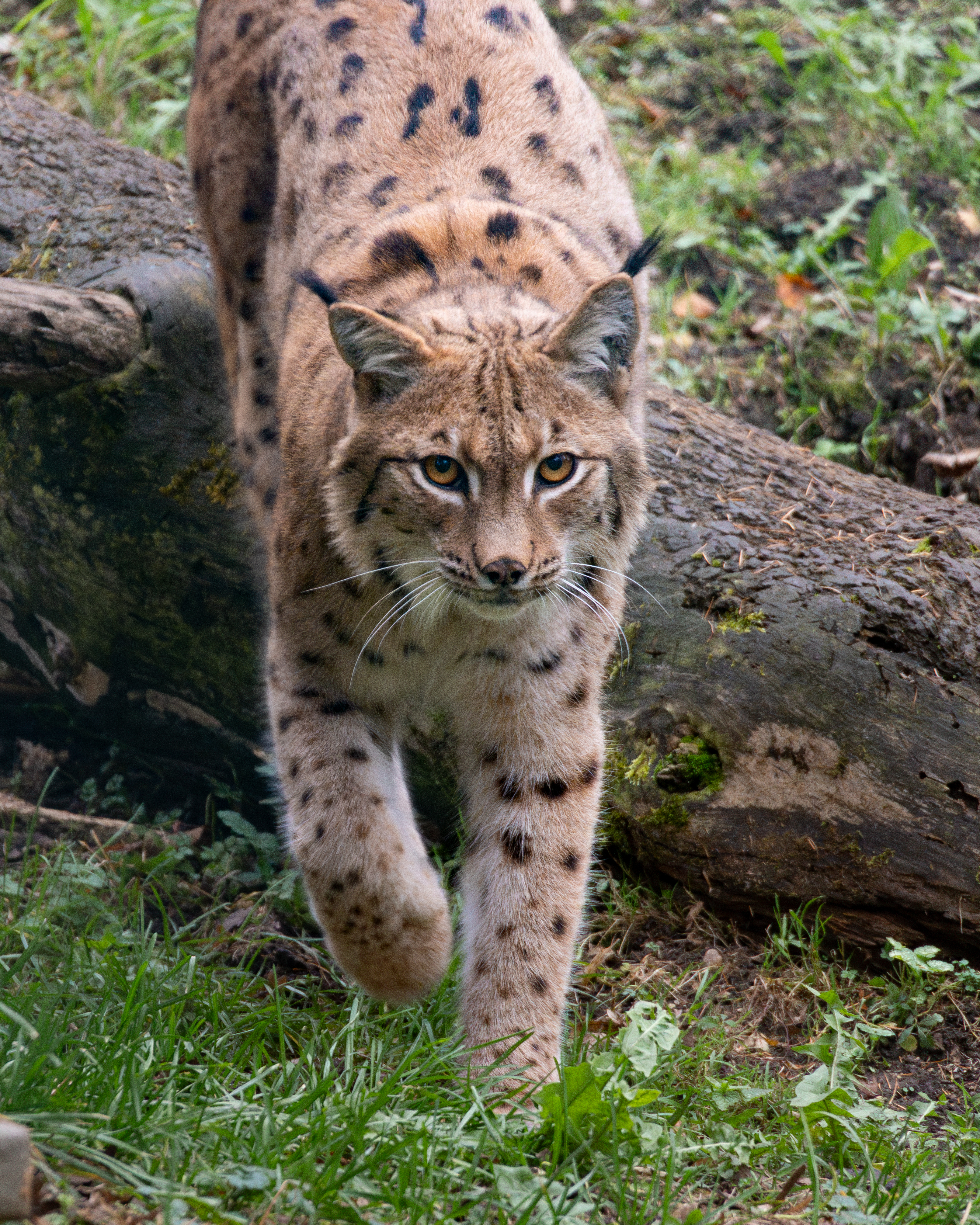 Featured photography